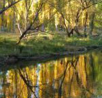 On The Banks - Accommodation Ballina