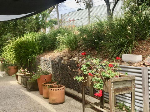 Eumundi Guesthouse & B & B - Accommodation Ballina 4