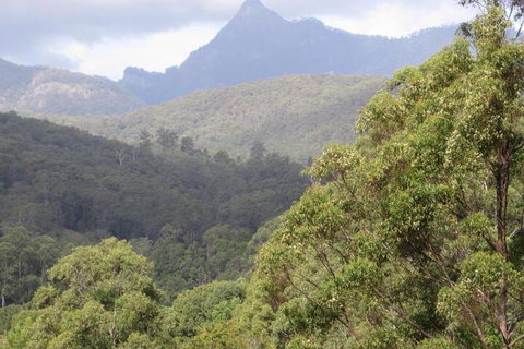 Babbling Brook Retreat - Accommodation Ballina 7