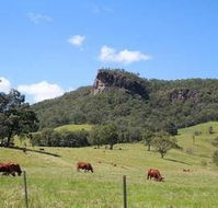 Rosevale House - Accommodation Ballina