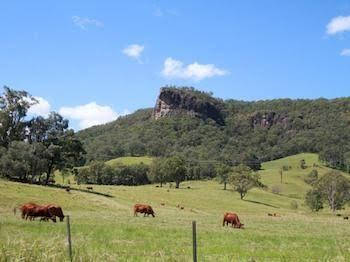 Rosevale House - Accommodation Ballina 0