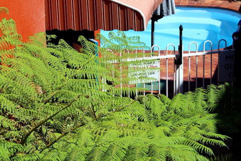Matilda Motel - Accommodation Ballina 5