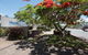 Clearwater Noosa - thumb 2