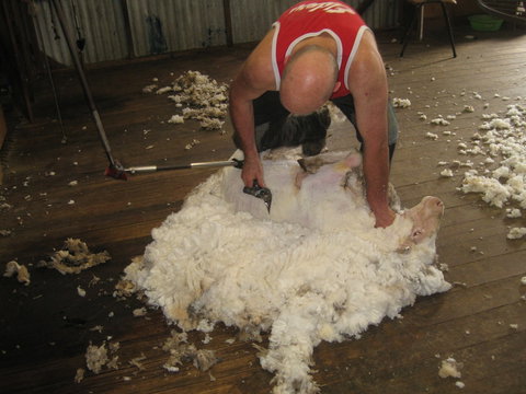 Taras Richmond Farmstay - Accommodation Ballina 1