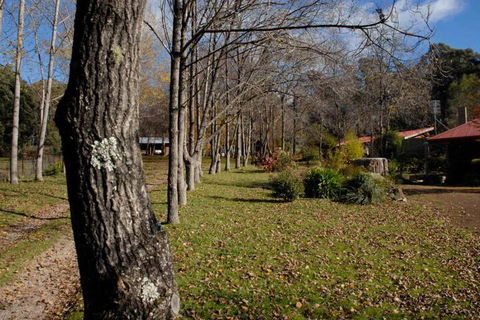 Birdwing Bed & Breakfast Weegena - Accommodation Ballina 2
