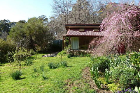Birdwing Bed & Breakfast Weegena - Accommodation Ballina 5