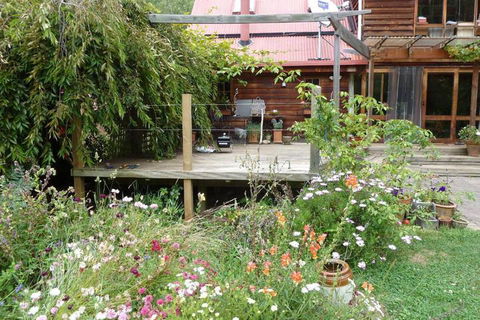 Birdwing Bed & Breakfast Weegena - Accommodation Ballina 6