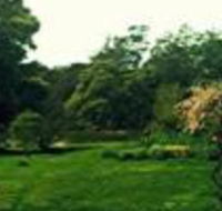 Birdwing Bed  Breakfast Weegena - Accommodation Ballina