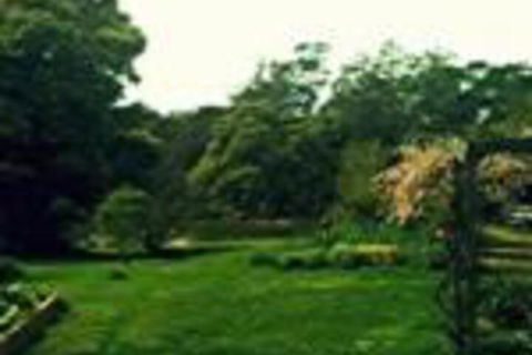 Birdwing Bed & Breakfast Weegena - Accommodation Ballina 0