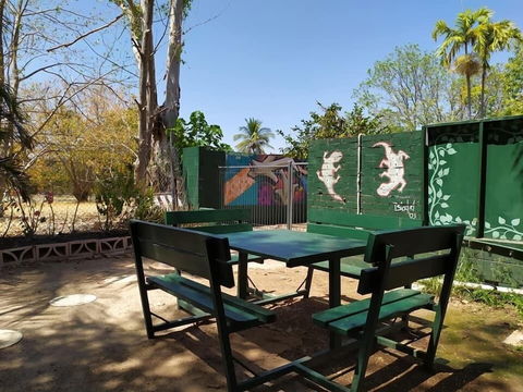 Palm Court Budget Motel Hostel/Backpackers - Accommodation Ballina 3