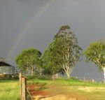 CBR Equine Cottage - Accommodation Ballina