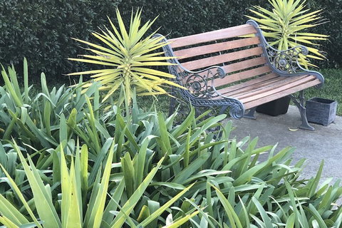 Cardiff Motor Inn - Accommodation Ballina 3