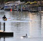 Sunsea Waterfront South Yunderup - Accommodation Ballina