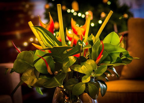 Northbank Residences By Apartments Of Melbourne - Accommodation Ballina 3