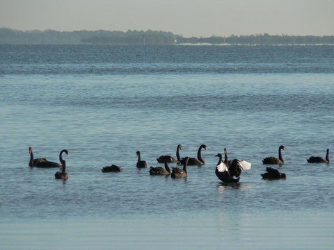 The Friendly Chat Bed & Breakfast - Accommodation Ballina 2