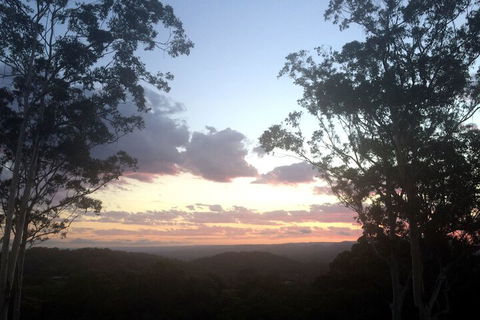 Phoenix Eumundi Bed & Breakfast - Accommodation Ballina 1