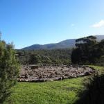 Stavely ACT Accommodation Ballina