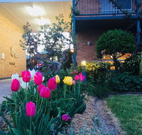 The Vines Motel and Cottages - Accommodation Ballina