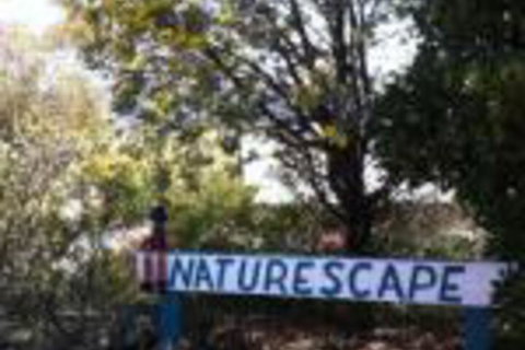 Naturescape - Accommodation Ballina 0