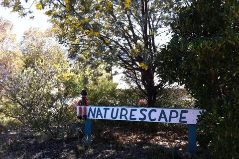 Naturescape - Accommodation Ballina 7