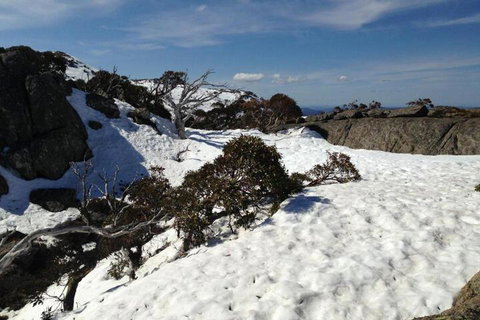 Naturescape - Accommodation Ballina 6