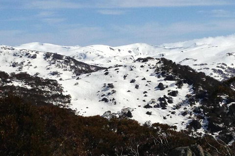 Naturescape - Accommodation Ballina 5