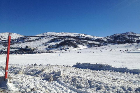 Naturescape - Accommodation Ballina 3