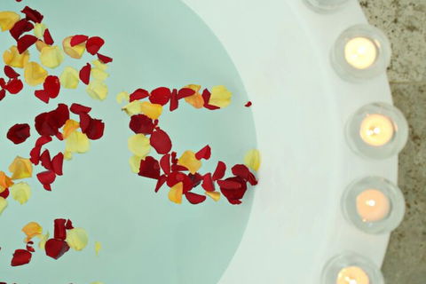 Avoca Valley Bed & Breakfast - Accommodation Ballina 2