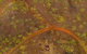 Crystalbrook Lodge - thumb 6