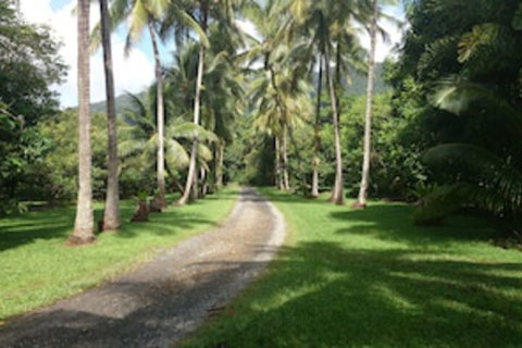 Cape Trib Farmstay - Accommodation Ballina 0