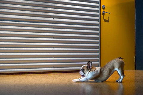 The Dome House - Accommodation Ballina 7