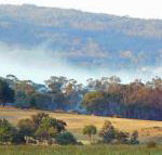 Candlebark Retreat