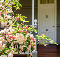 Apple Blossom Cottage - Accommodation Ballina
