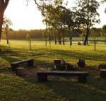 Wallaby Cottage cute Accom in bushland setting - Accommodation Ballina