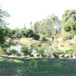 Still Waters - Accommodation Ballina 0