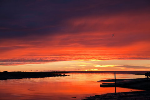 Coastal Pods Wynyard - Accommodation Ballina 1