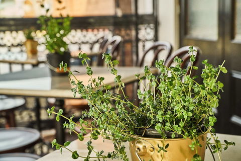 The Bronte Boutique Hotel - Accommodation Ballina 4