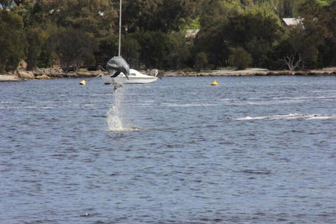 Tani Hill - Accommodation Ballina 1