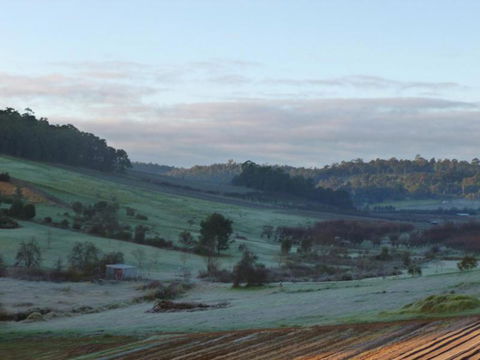 Bickley Valley Cottage - Accommodation Ballina 2