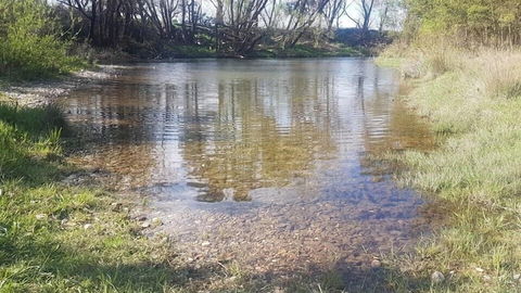 Abington Farm - Accommodation Ballina 2