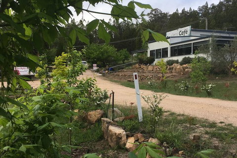 Glen Aplin Gardens B&B - Accommodation Ballina 5