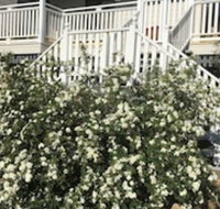 Glen Aplin Gardens BB - Accommodation Ballina