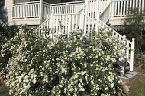 Glen Aplin Gardens B&B - Accommodation Ballina 0