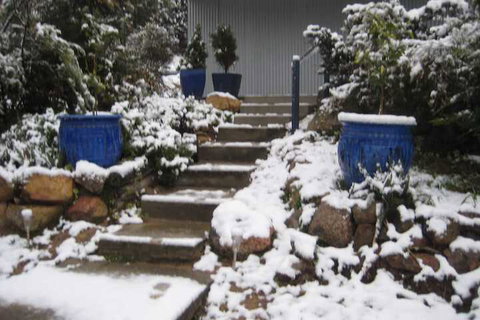 Glen Aplin Gardens B&B - Accommodation Ballina 2