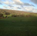 Mancuso Country Cottage Retreat - Accommodation Ballina