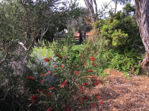 Andrews On Topaz - Accommodation Ballina 6