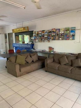 Frogshollow Backpackers - Accommodation Ballina 3