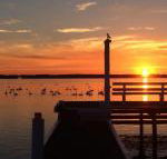 Bayview Boathouse - Accommodation Ballina