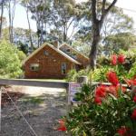Dalmeny NSW Accommodation Ballina