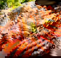 Table 30 - Accommodation Ballina